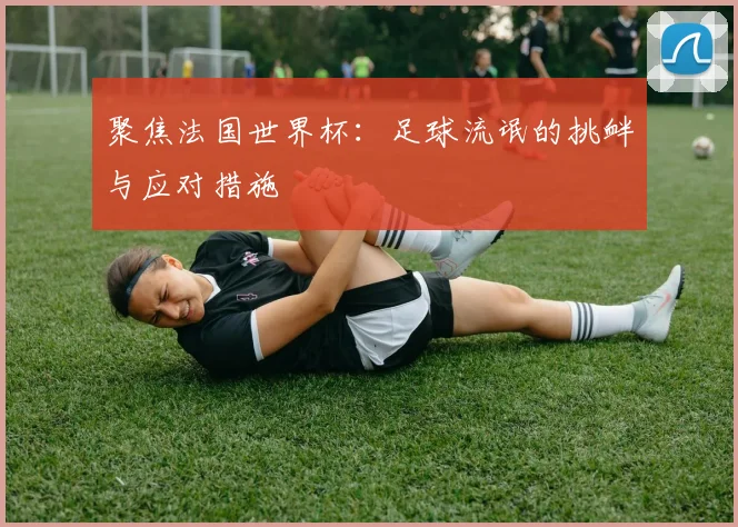 聚焦法国世界杯：足球流氓的挑衅与应对措施