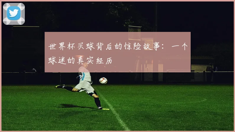 世界杯买球背后的惊险故事：一个球迷的真实经历