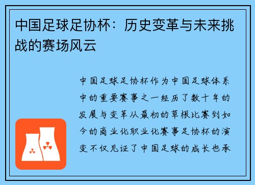 中国足球足协杯：历史变革与未来挑战的赛场风云