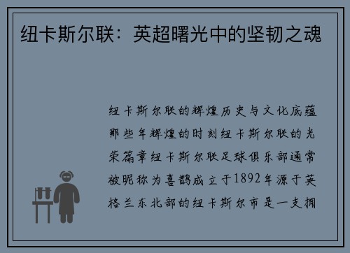 纽卡斯尔联：英超曙光中的坚韧之魂